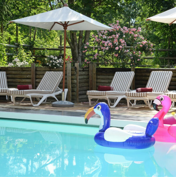 Piscine extérieure maison alliey avec bouées en forme de flamant rose