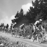 Groupe de cyclistes descendant une route de montagne dans les Hautes Alpes.